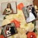wedding photographer z